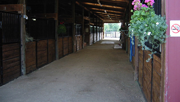 Horse Boarding Stalls